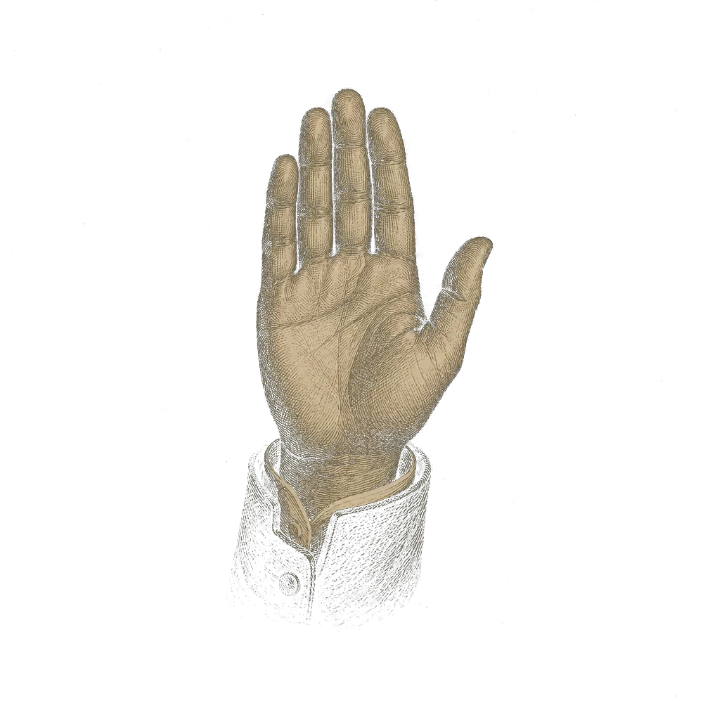 an open hand