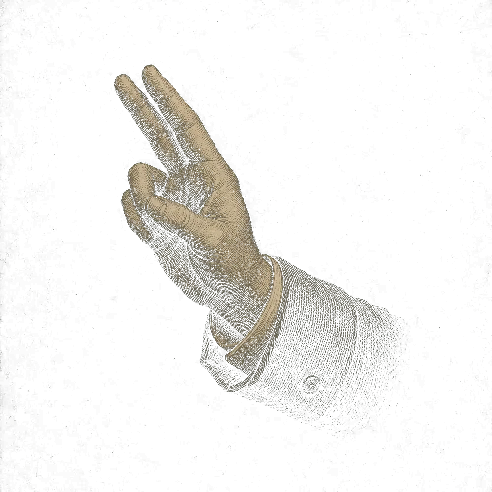 a hand showing two